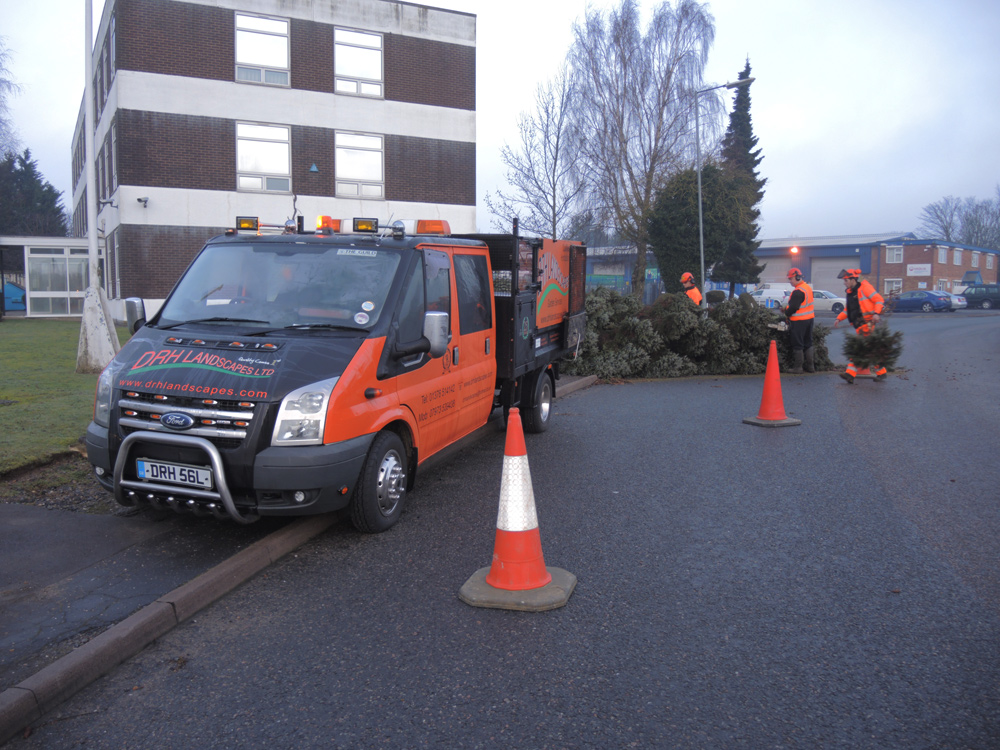 commercial-site-maintenance2