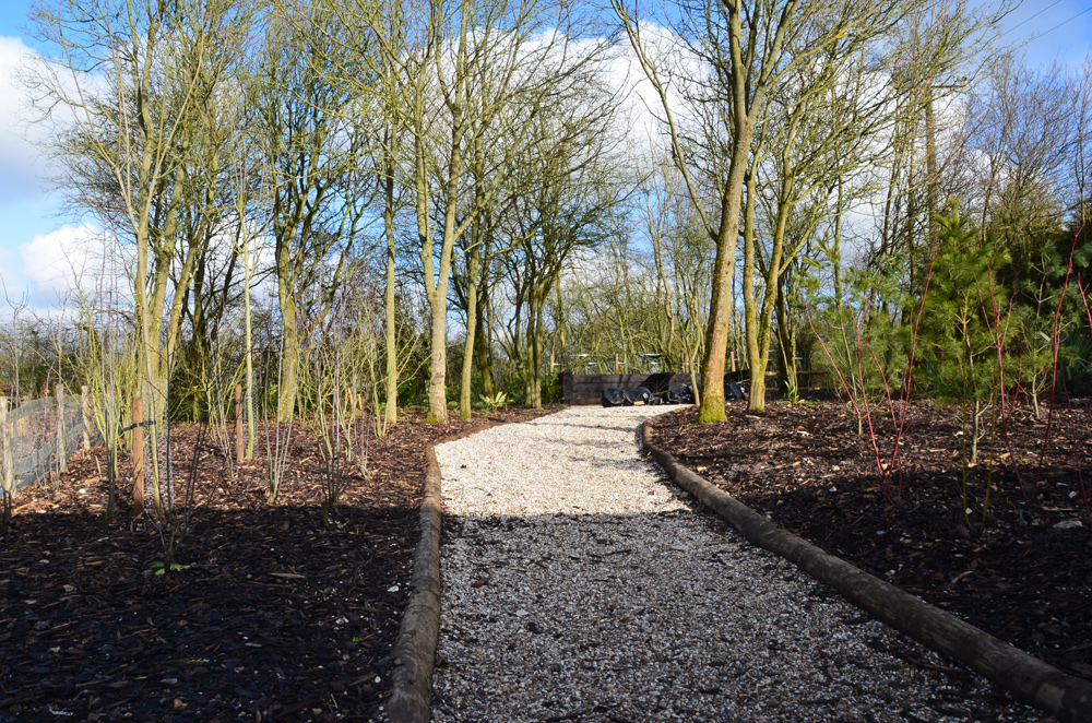 woodland-garden2