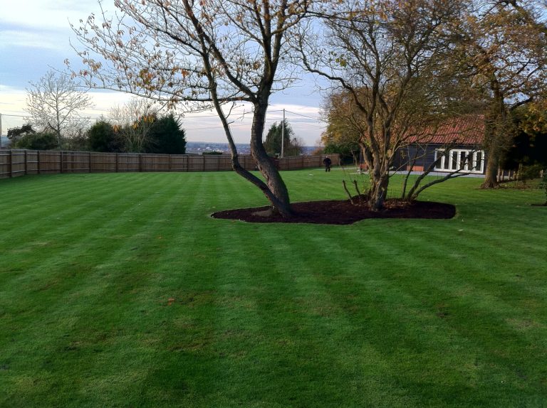 Lawn